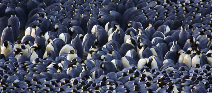 Blog Writing: 7 reasons to join a business networking&nbsp;group